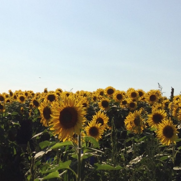 Meet your Posher, Grace - Picture 1 of 1